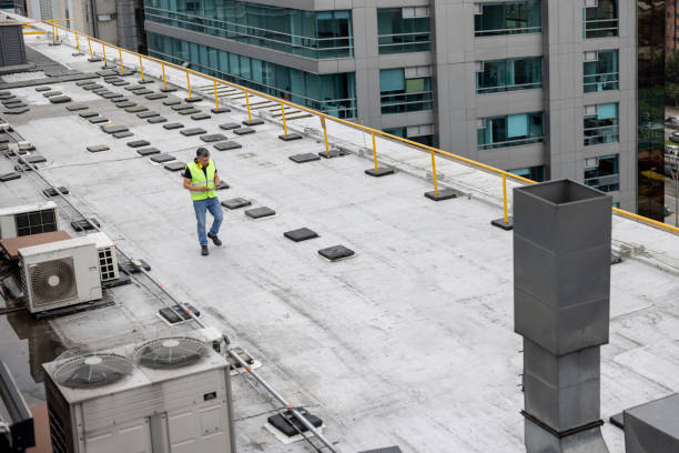 Best Green or Eco-Friendly Roofing Solutions  in Berwyn Heights, MD